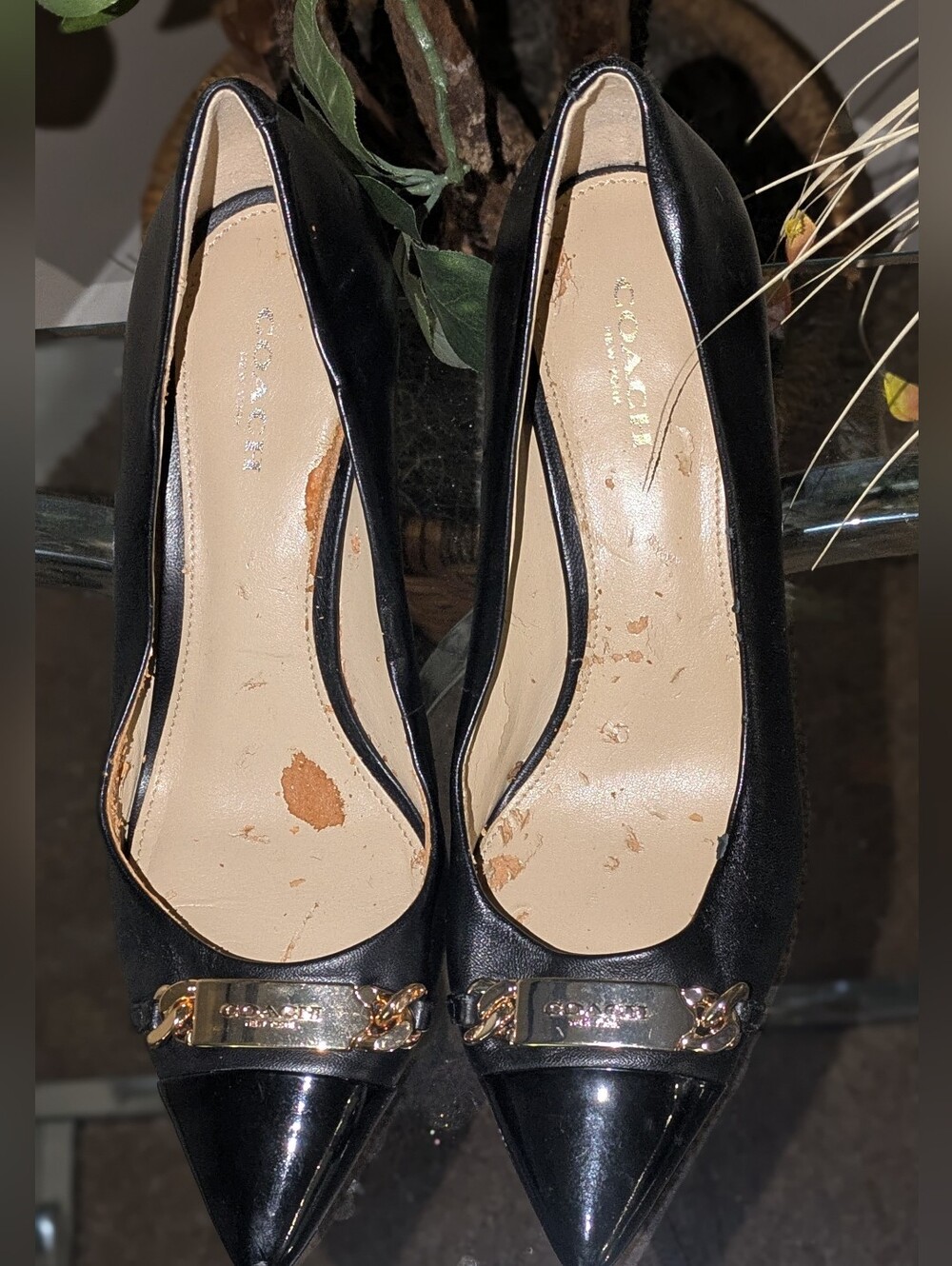 Coach Heels - Picture 9 of 12
